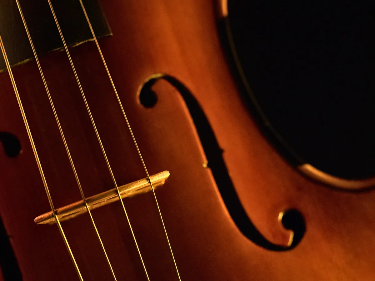Viola lessons in Edinburgh